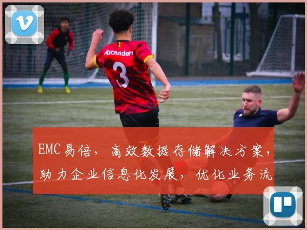 EMC易倍，高效数据存储解决方案，助力企业信息化发展，优化业务流程，提升竞争力，实现数据无忧。