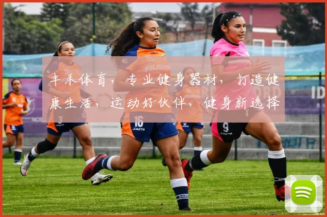 丰禾体育，专业健身器材，打造健康生活，运动好伙伴，健身新选择，健身器材专家。