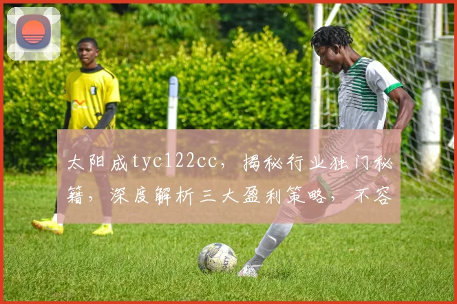 太阳成tyc122cc，揭秘行业独门秘籍，深度解析三大盈利策略，不容错过